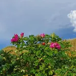 Nad Morzem - Nevada Darłówko