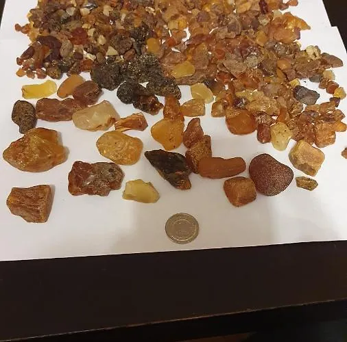 Nad Morzem - Nevada Darlowko